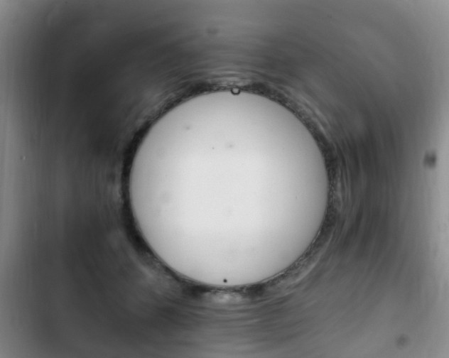 X0000102760512200808180934