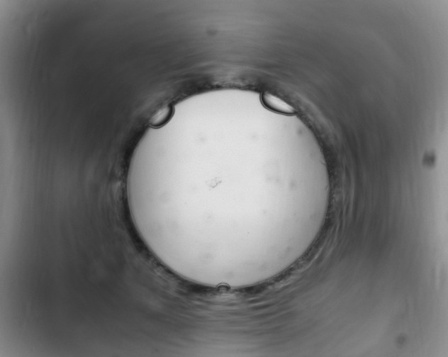 X0000102760513200808180934