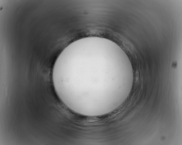 X0000102760514200808180934