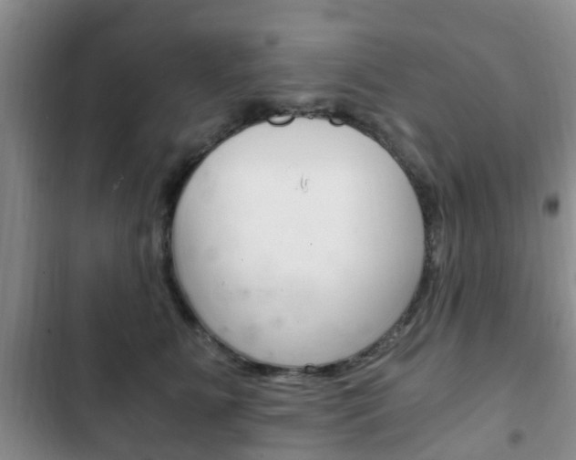 X0000102760515200808180934