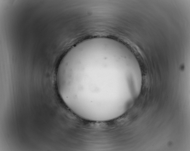 X0000102760517200808180934