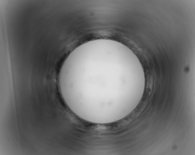 X0000102760518200808180934