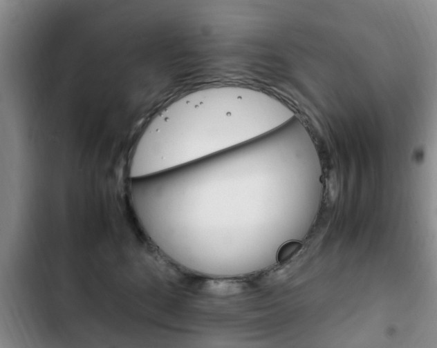 X0000102760520200808180934