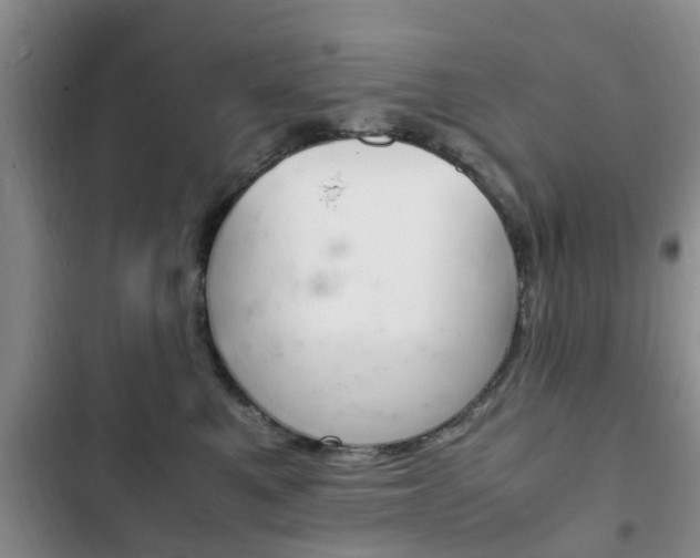 X0000102760521200808180934