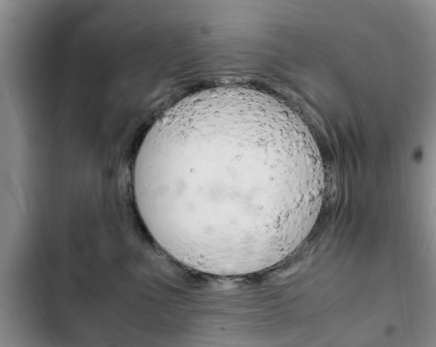 X0000102760523200808180934