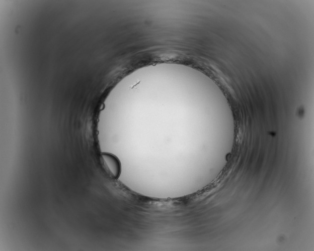 X0000102760524200808180934