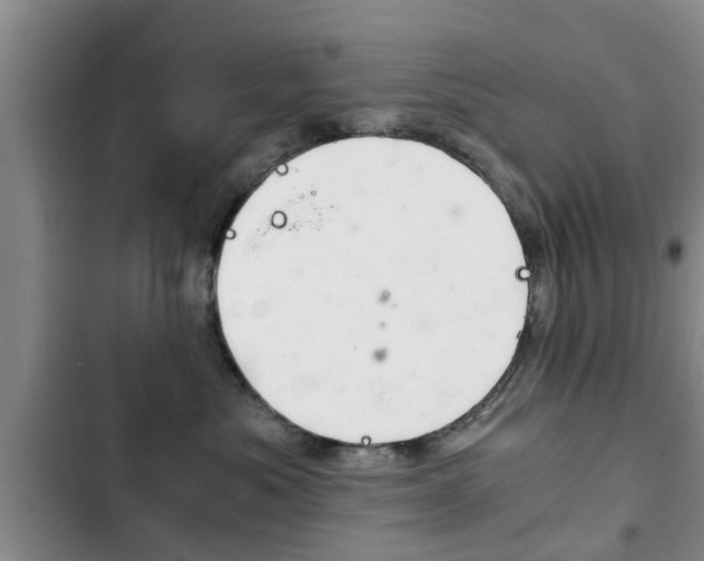 X0000102760525200808180934