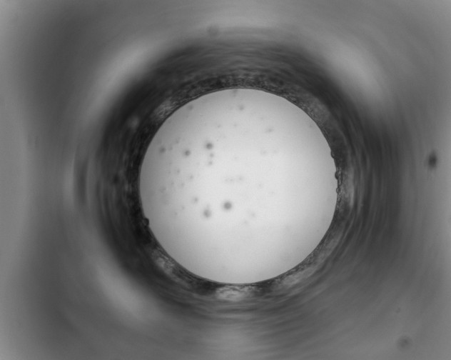 X0000102760526200808180934
