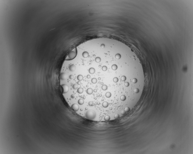 X0000102760527200808180934