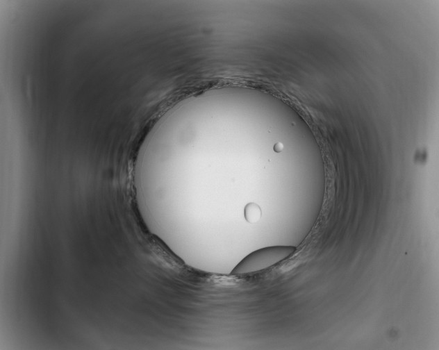 X0000102760528200808180934