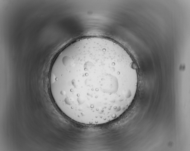 X0000102760529200808180933