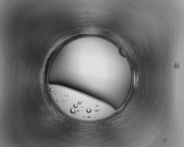 X0000102760531200808180933