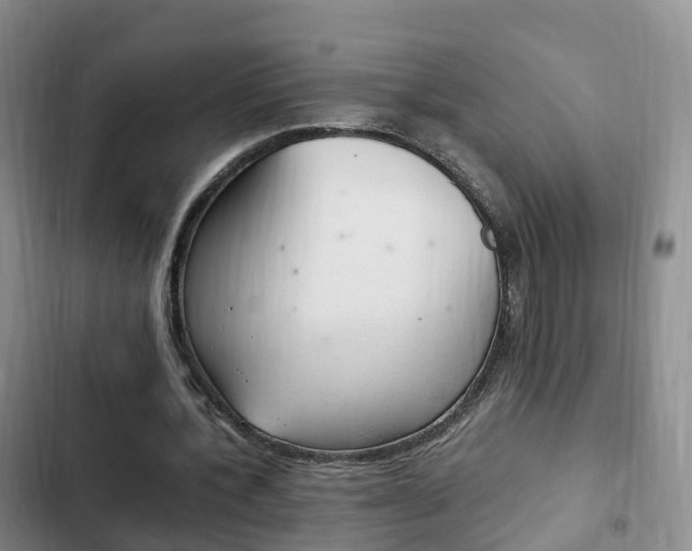 X0000102760532200808180933