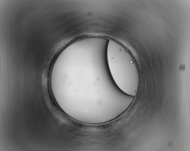 X0000102760533200808180933