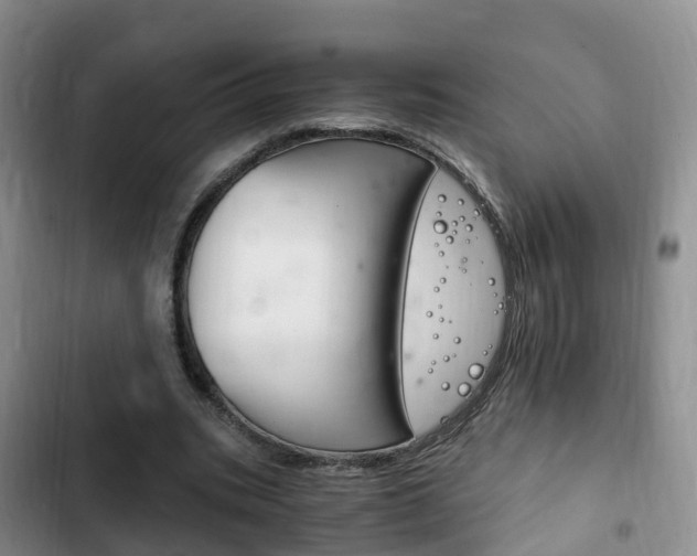 X0000102760535200808180933