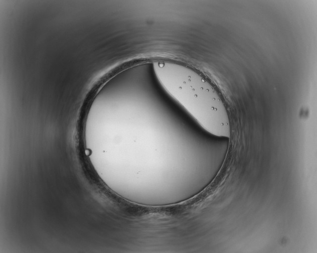 X0000102760536200808180933