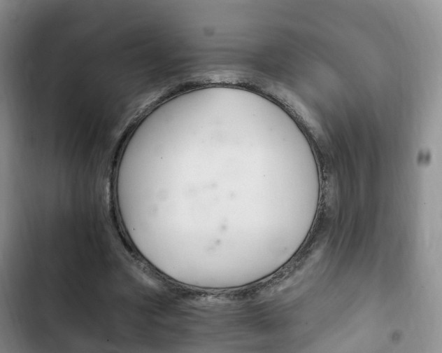 X0000102760537200808180933