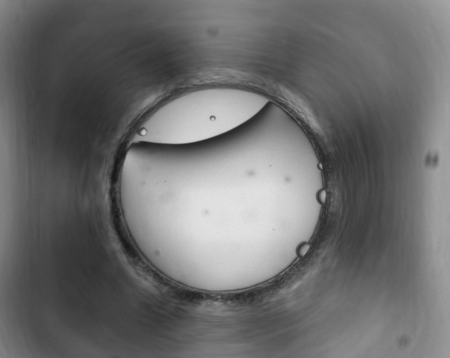X0000102760538200808180933