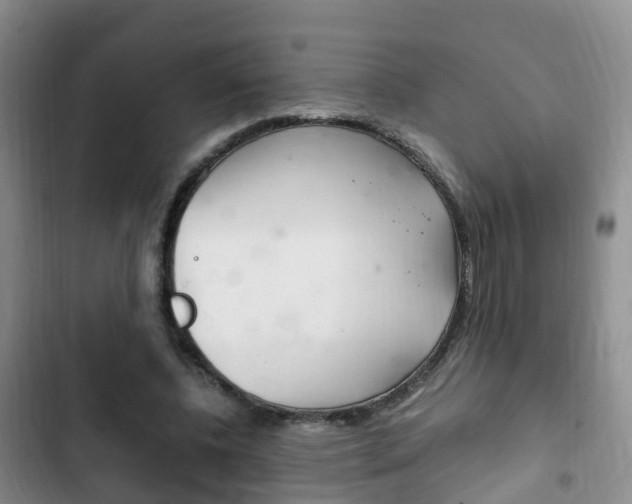 X0000102760540200808180933