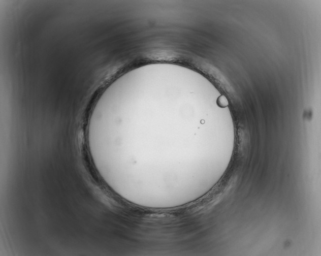 X0000102760541200808180933