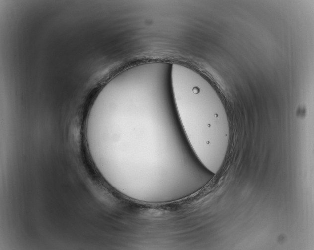 X0000102760542200808180933