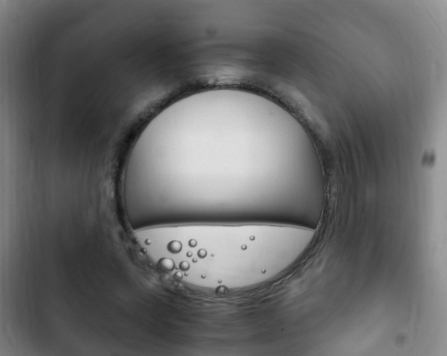 X0000102760543200808180933