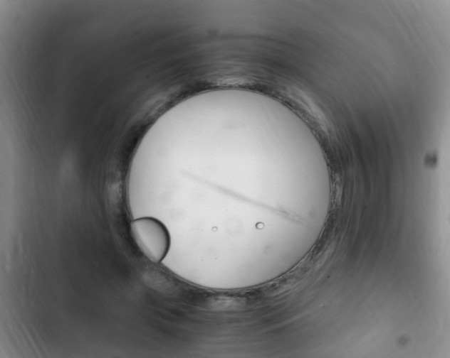 X0000102760549200808180934