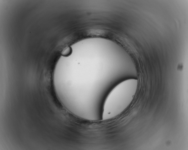 X0000102760551200808180934