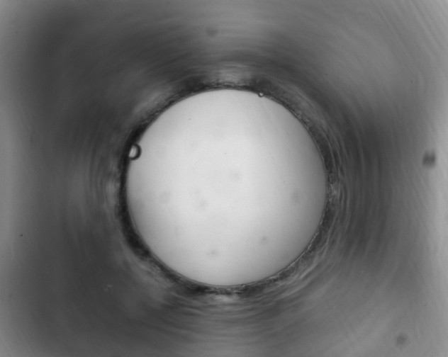 X0000102760552200808180934