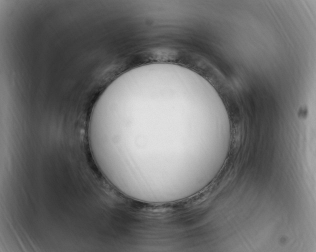 X0000102760553200808180934