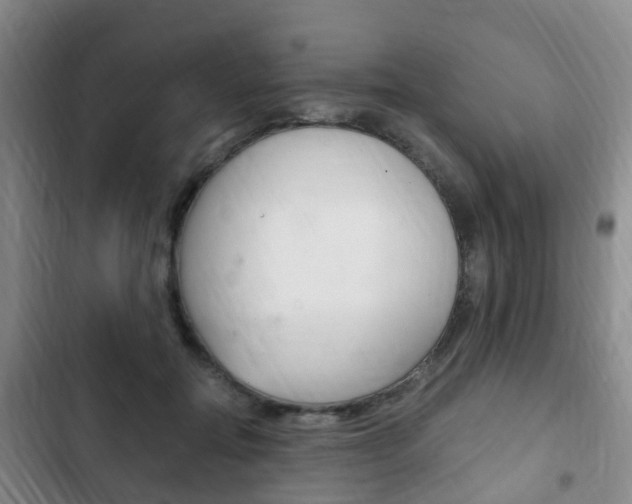 X0000102760554200808180934