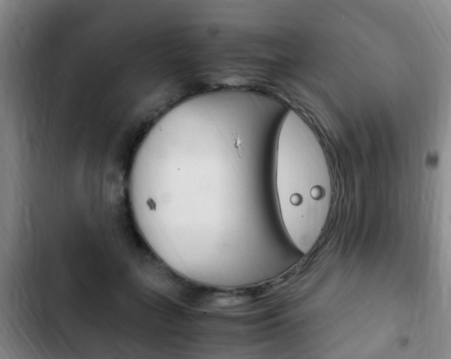 X0000102760555200808180934