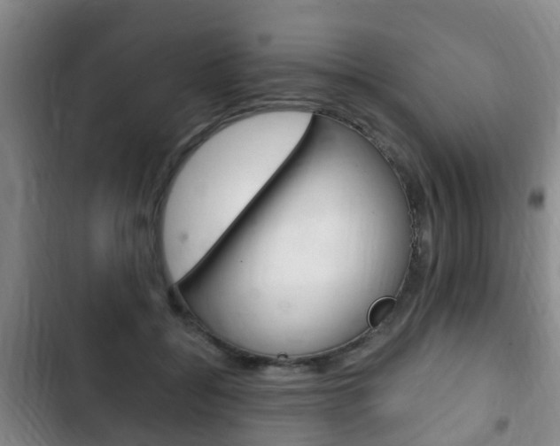 X0000102760556200808180934