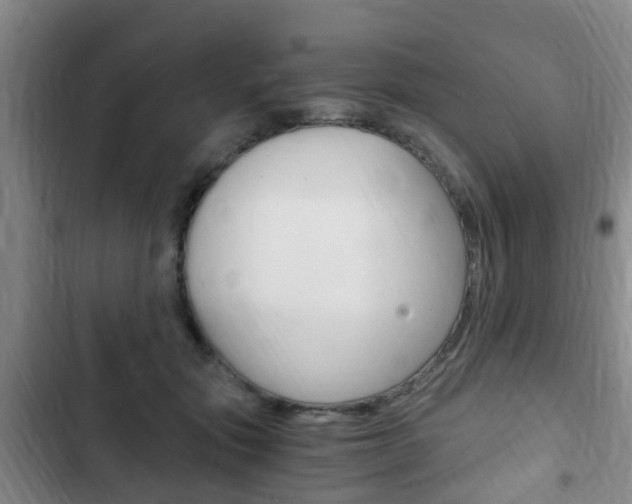 X0000102760557200808180934