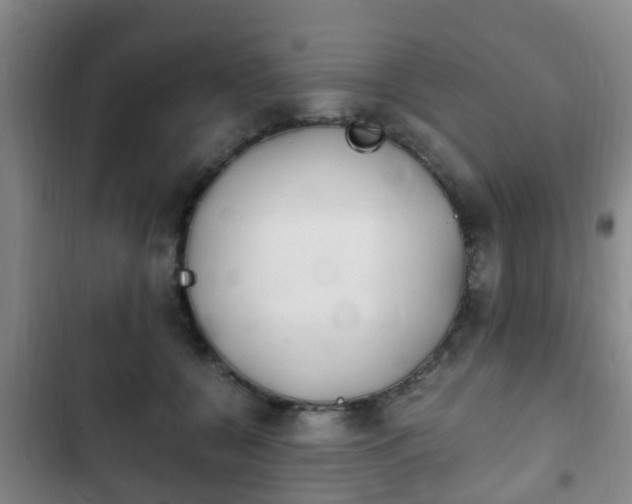 X0000102760560200808180934