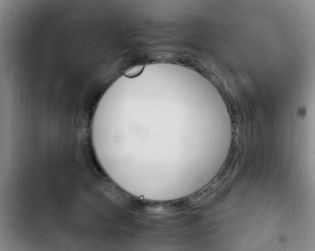 X0000102760561200808180934