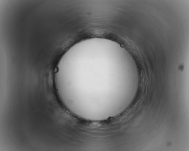 X0000102760562200808180934