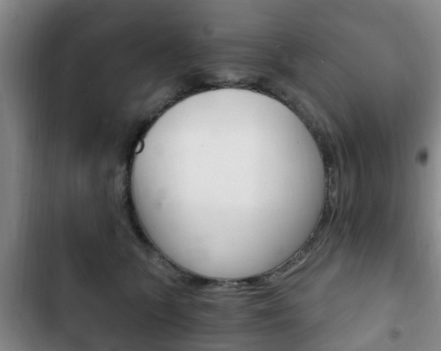 X0000102760563200808180934