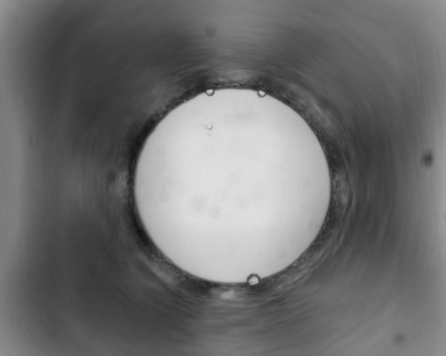 X0000102760564200808180934
