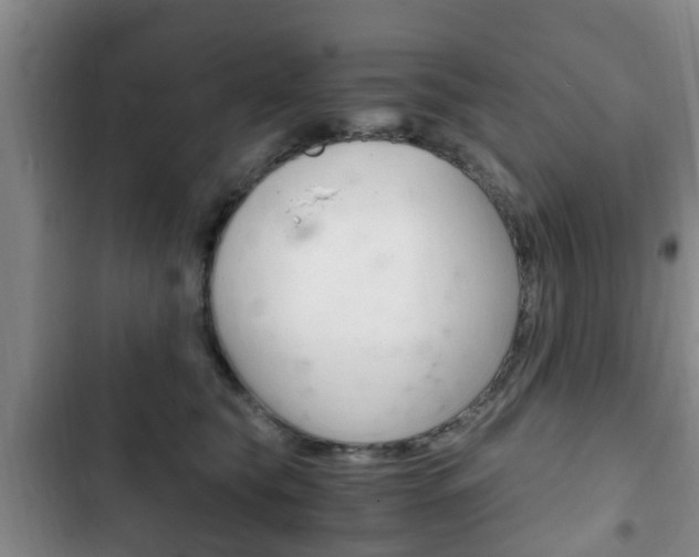 X0000102760565200808180934