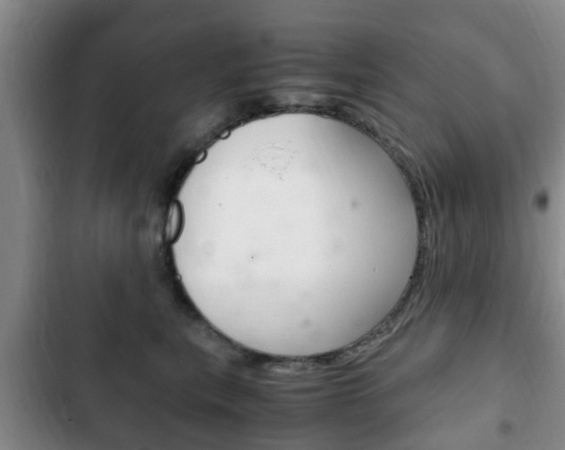 X0000102760567200808180934