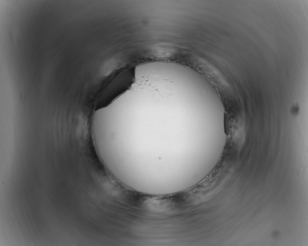 X0000102760568200808180934