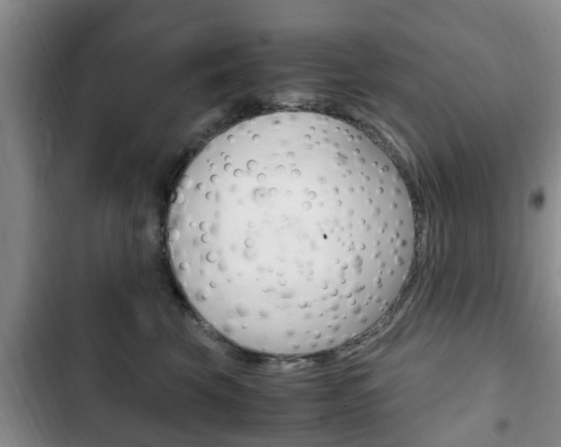 X0000102760569200808180934