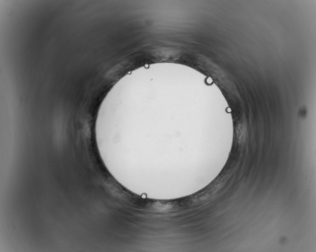 X0000102760570200808180934