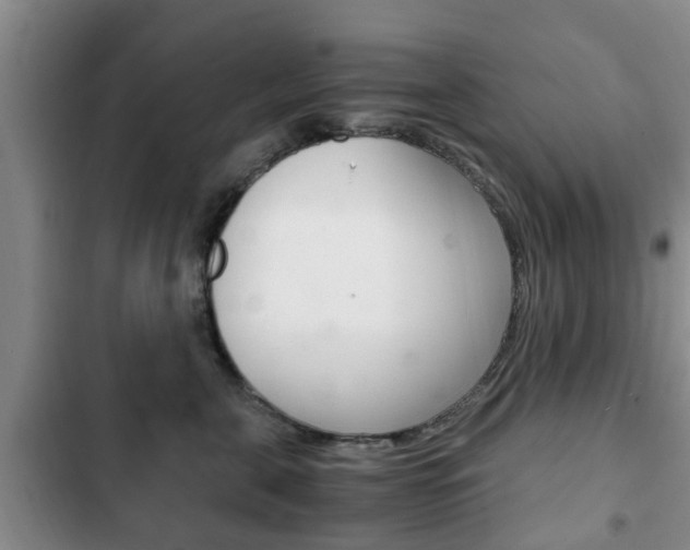 X0000102760571200808180934