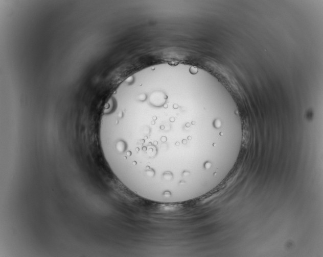 X0000102760573200808180934