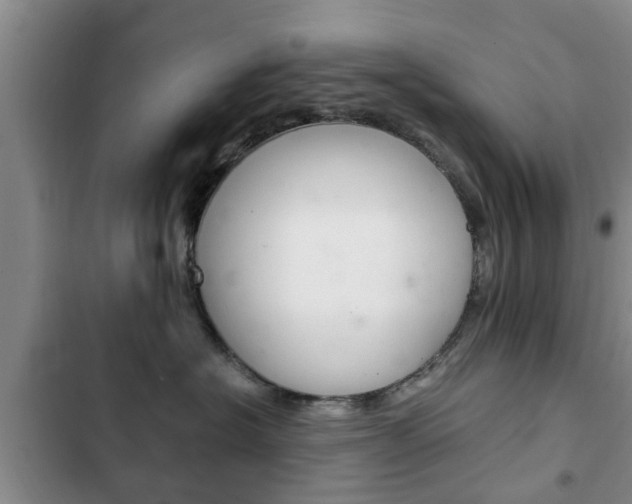 X0000102760574200808180934