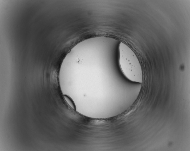 X0000102760575200808180934