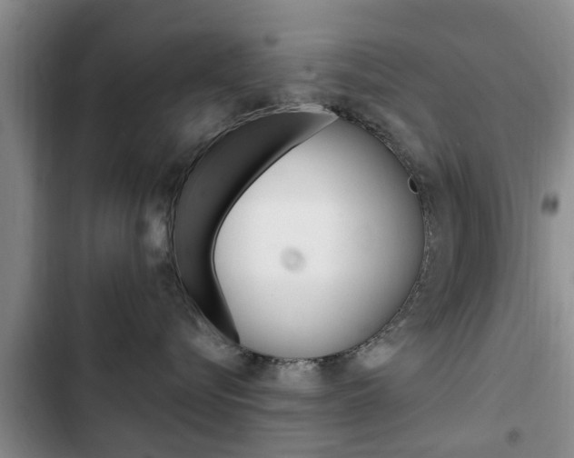 X0000102760576200808180934