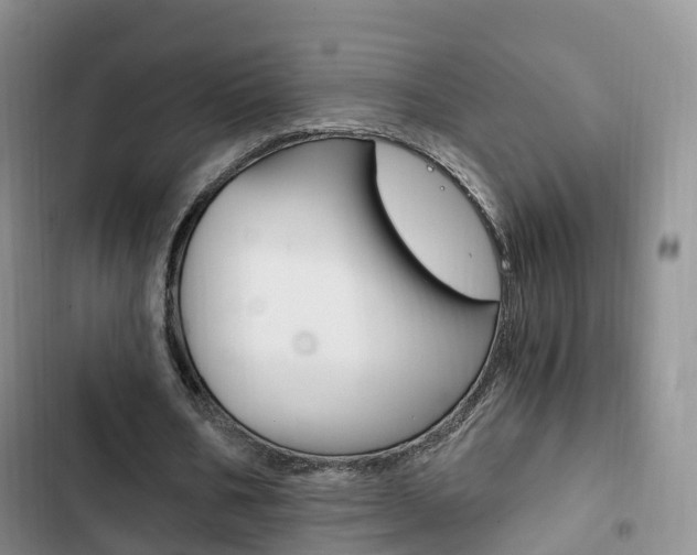 X0000102760578200808180933